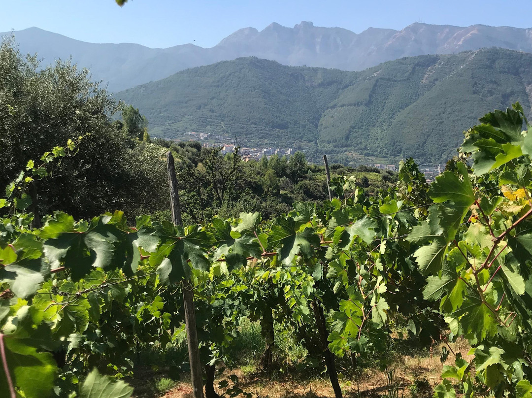 Italy Dream Tours-Lettere必去景点