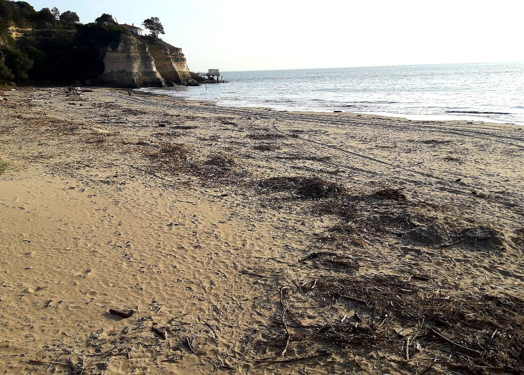 Plage Des Nonnes景点图片
