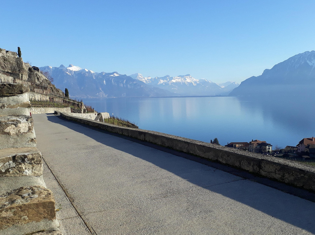 Vinorama Wine Tour, Lavaux-Rivaz必去景点
