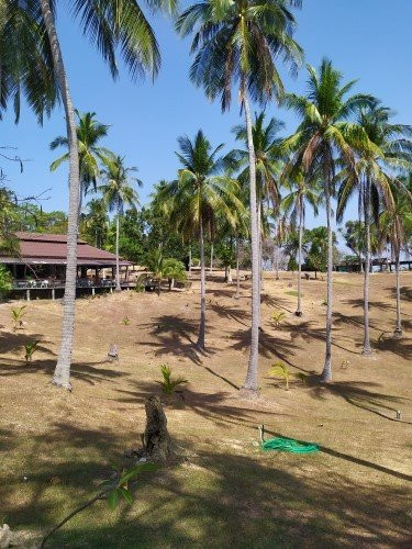 班拉雅度假村主图