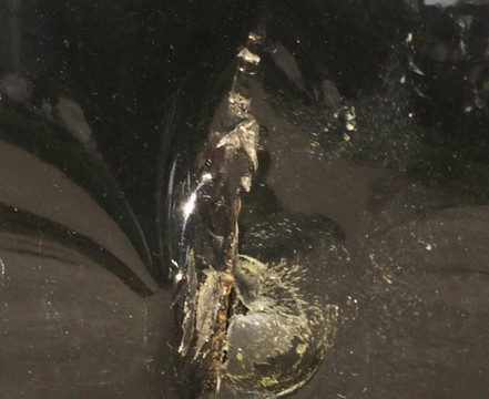 EZ Airport parking-米西索加必去景点