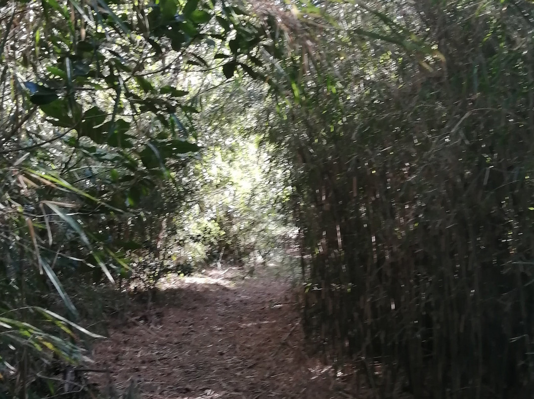 Gyotoku Birdwatching Facility-市川市必去景点
