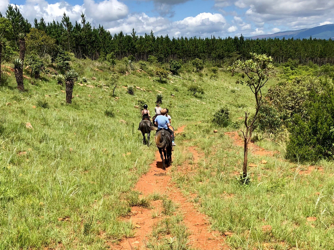 Kaapsehoop Horse Trails Day Trips-Kaapsehoop必去景点