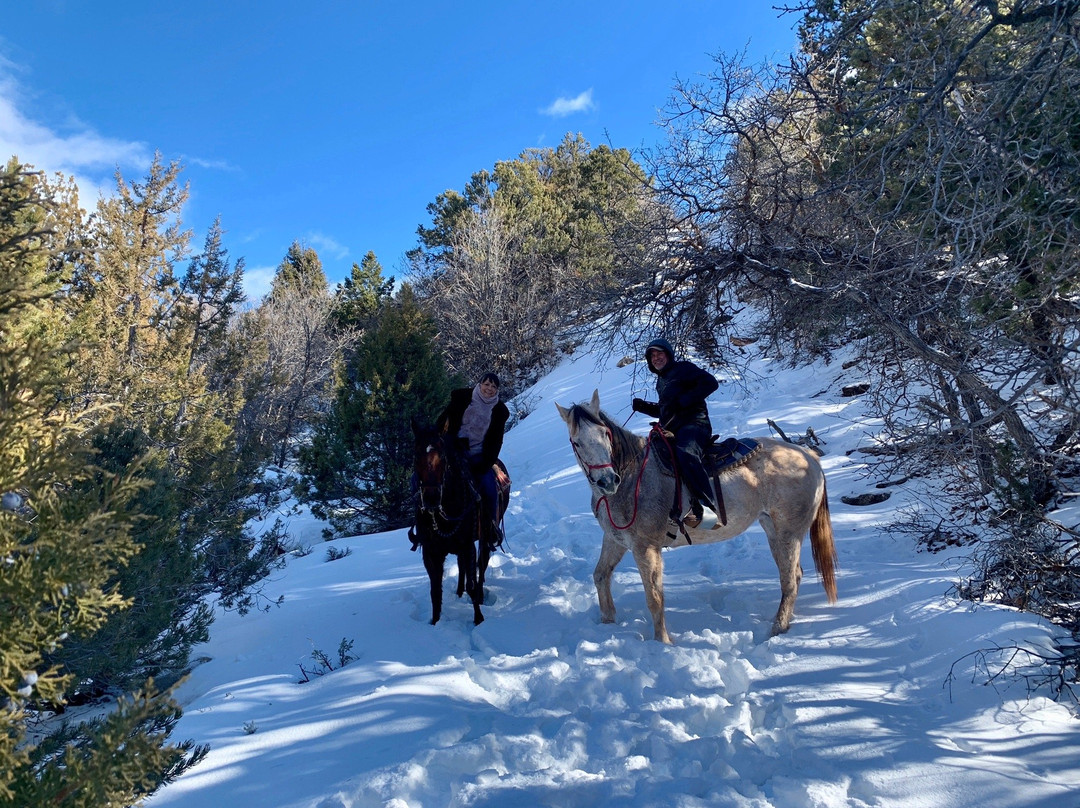 Rising K Ranch-锡达城必去景点
