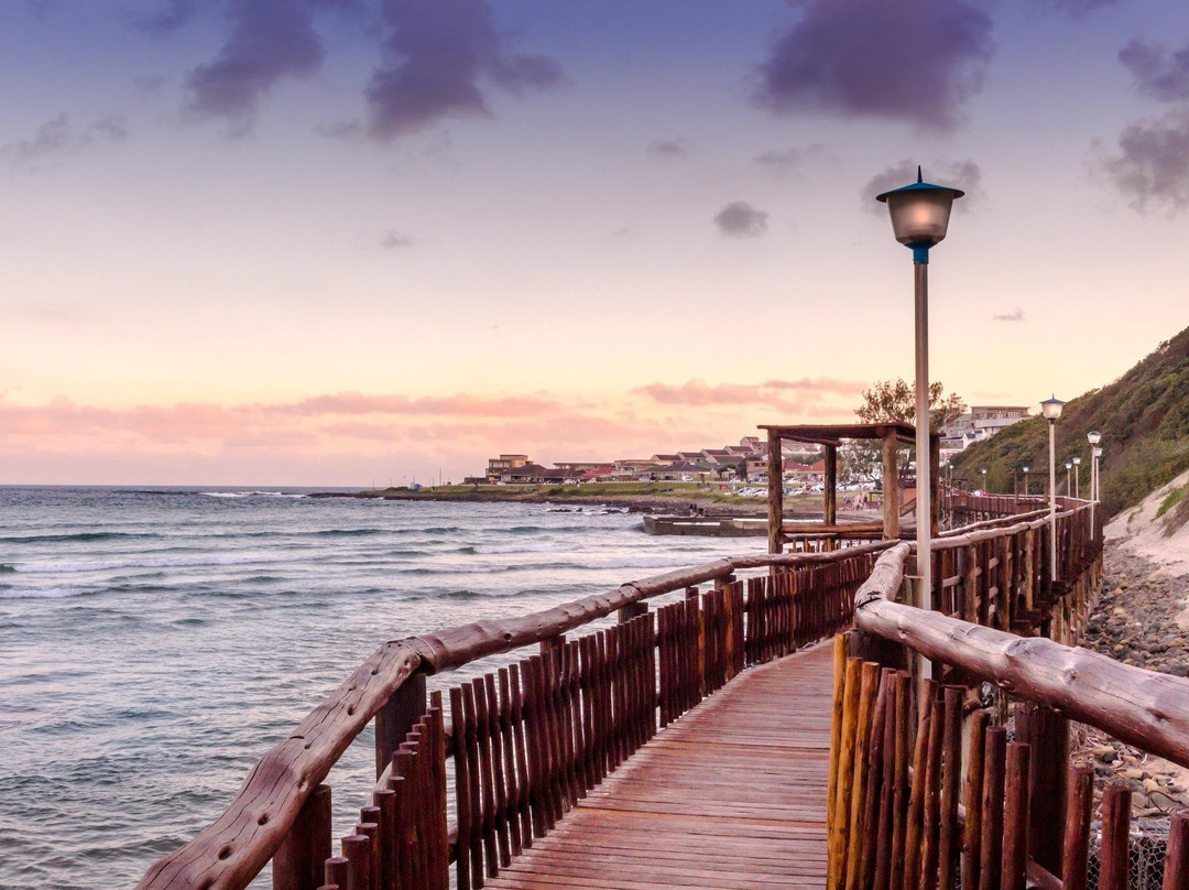 African Eagle-约翰内斯堡必去景点