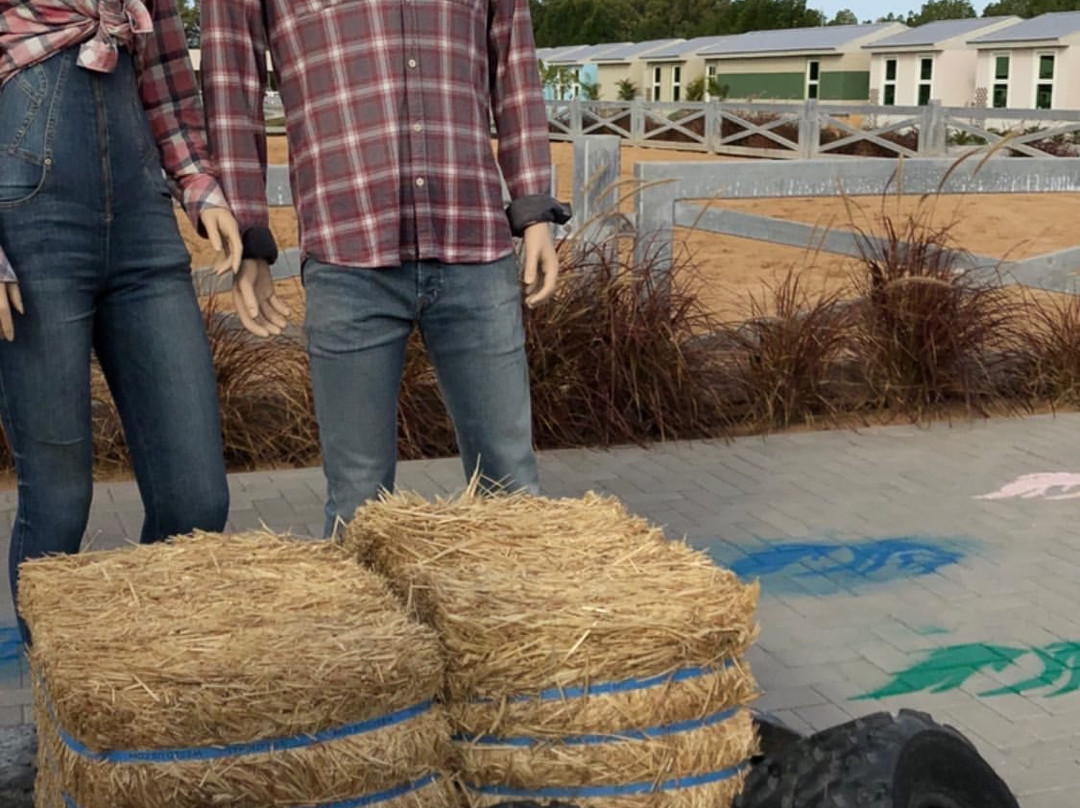 Al Jumooh-Al Awir必去景点