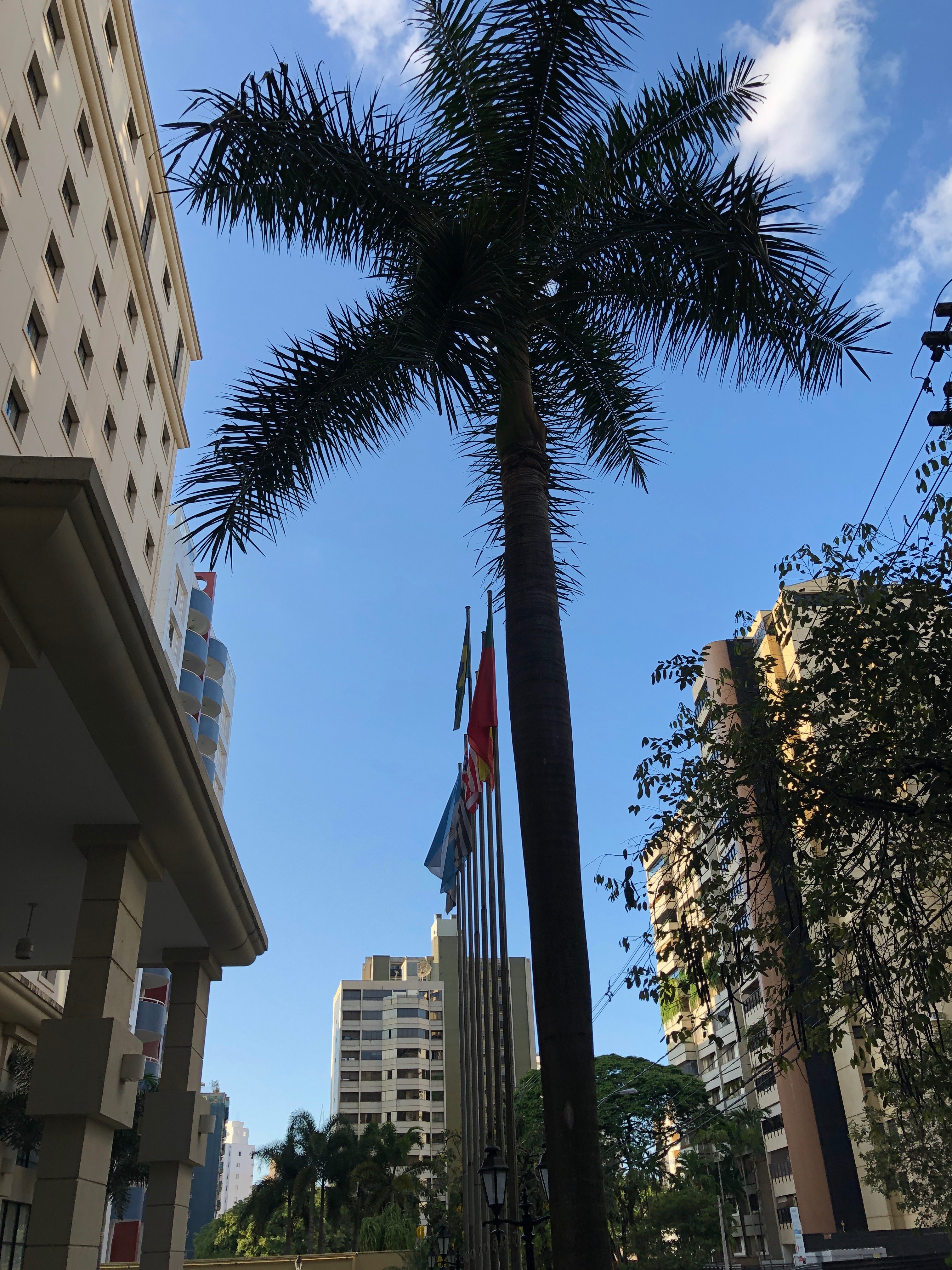 Meliá Campinas-浴室