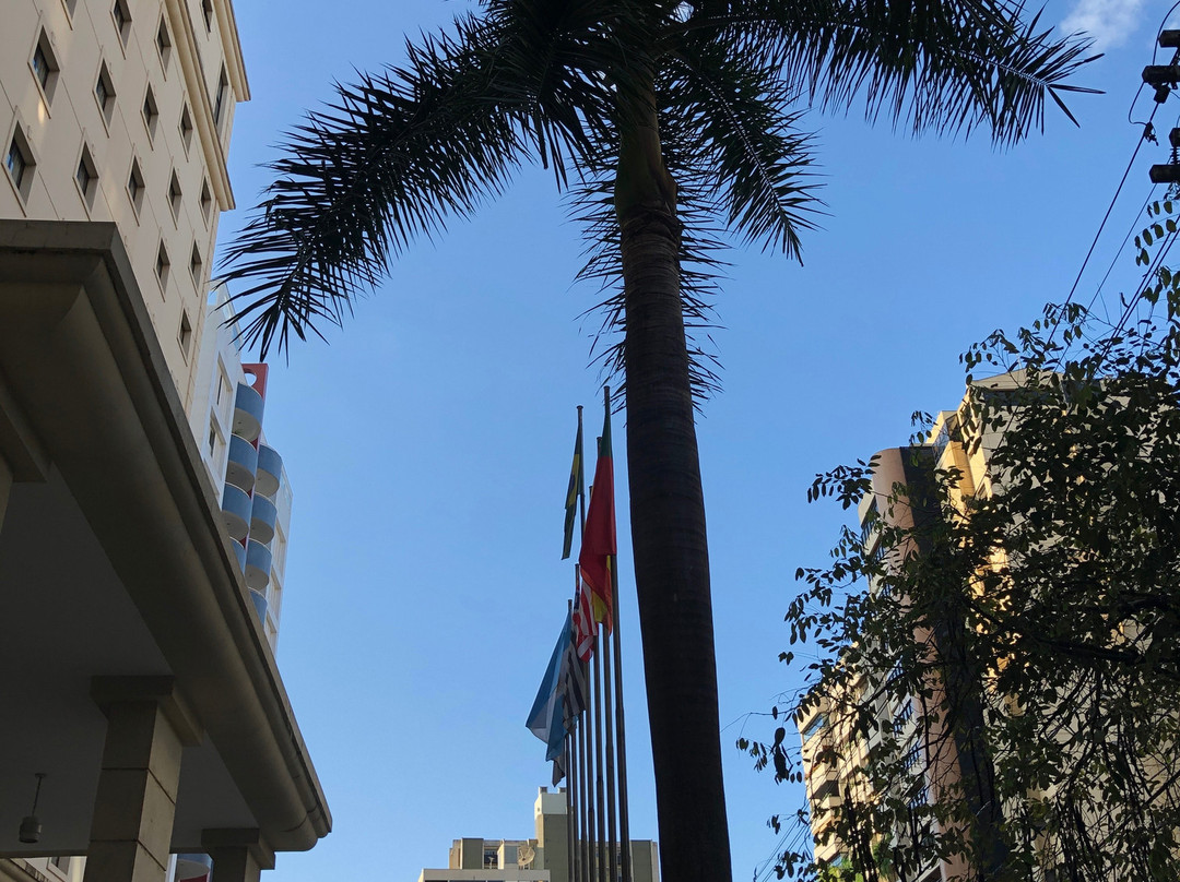 Meliá Campinas主图