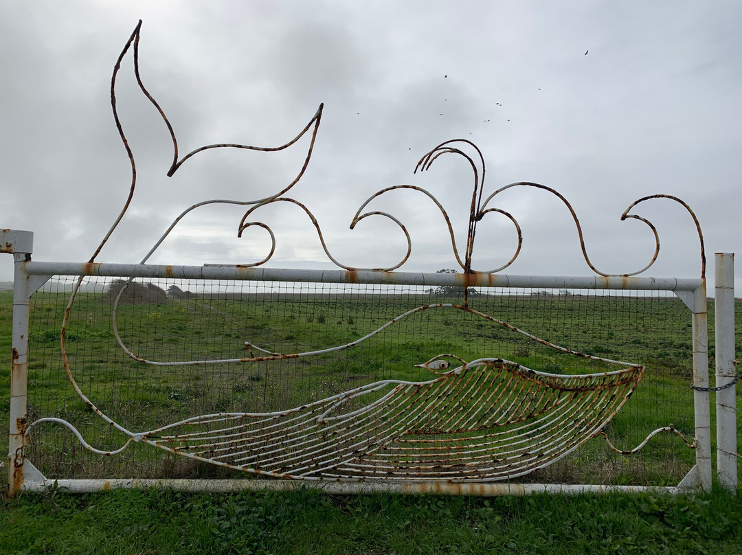 Cowell Ranch State Beach-半月湾必去景点