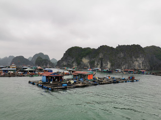 Full Moon Travel Asia-Cat Ba Town必去景点