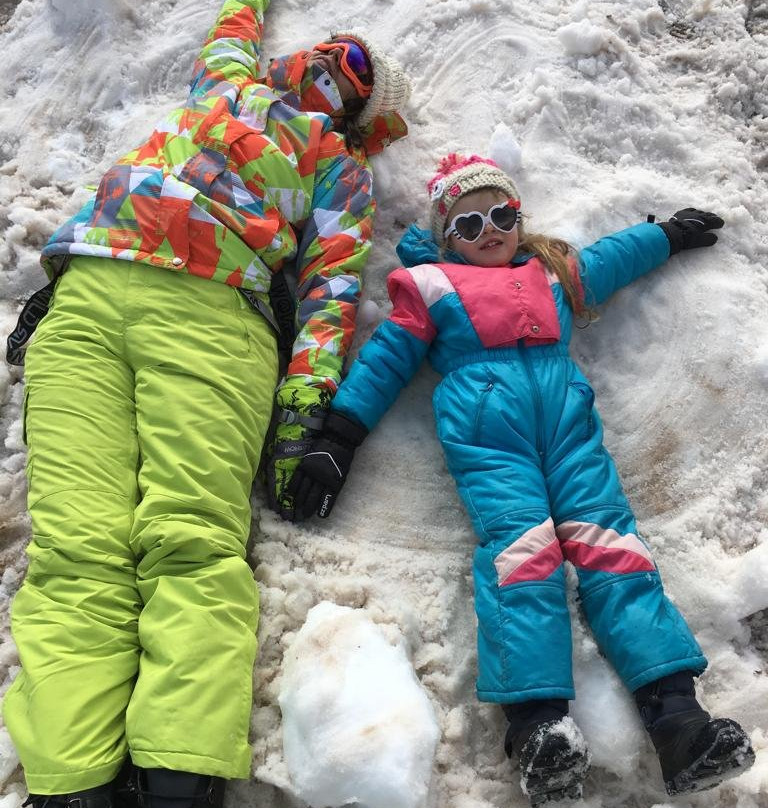 Hotel Valle Nevado主图