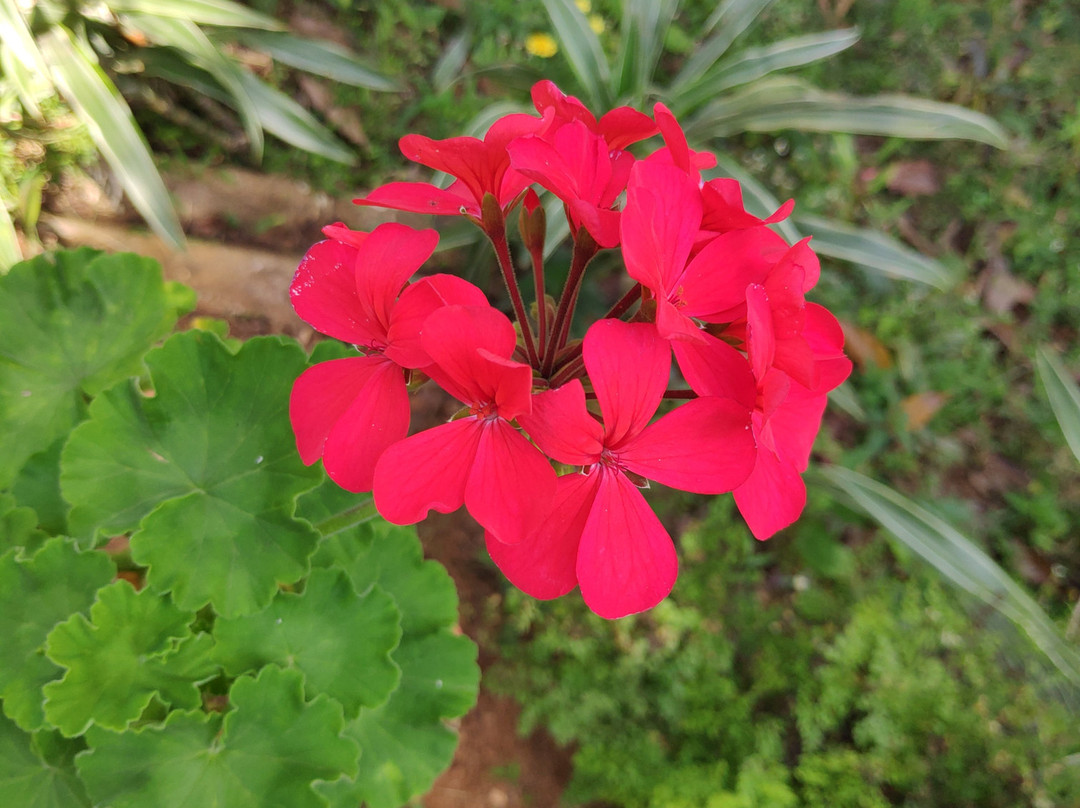 拉姆博大瀑布酒店主图