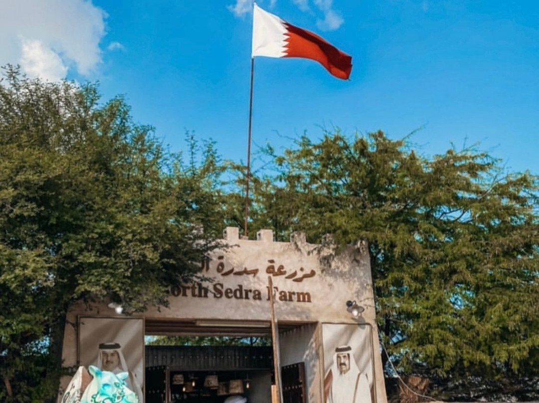 North Sedra Farm-Madinat Ash Shamal必去景点