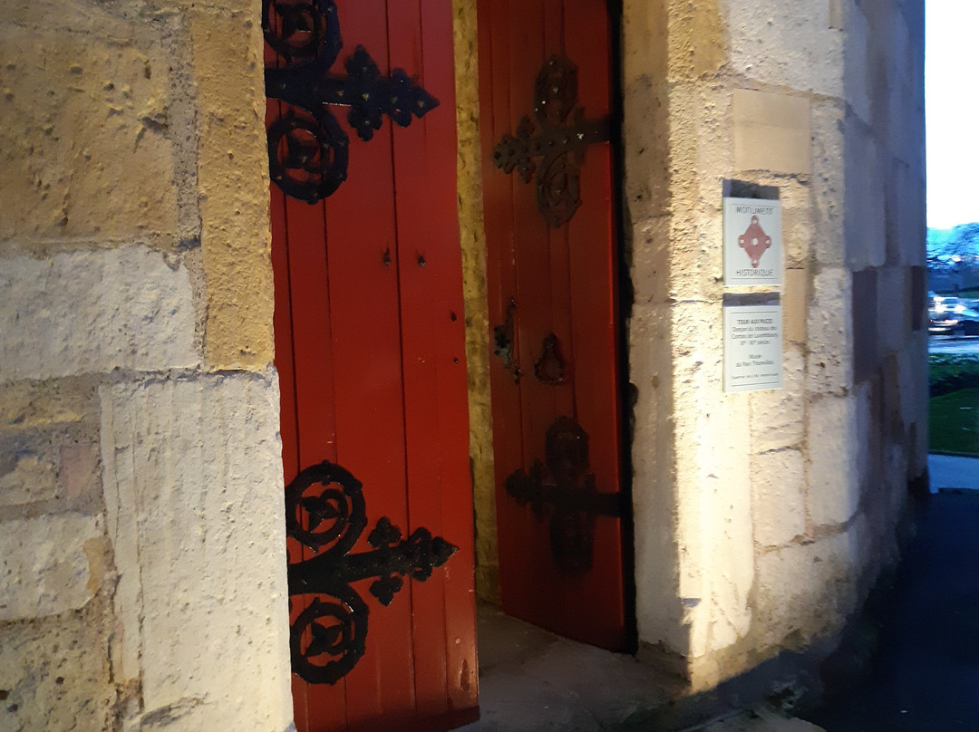 Musee de la Tour Aux Puces景点图片