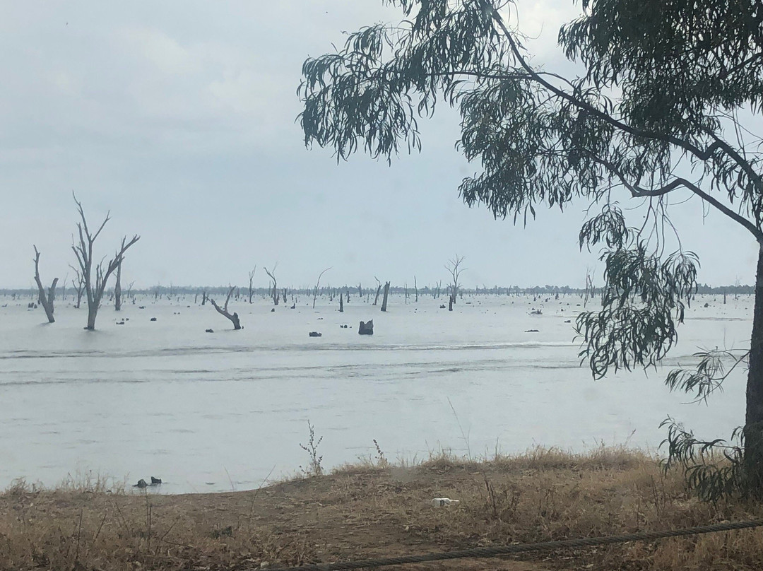 Kyffins Reserve-Mulwala必去景点