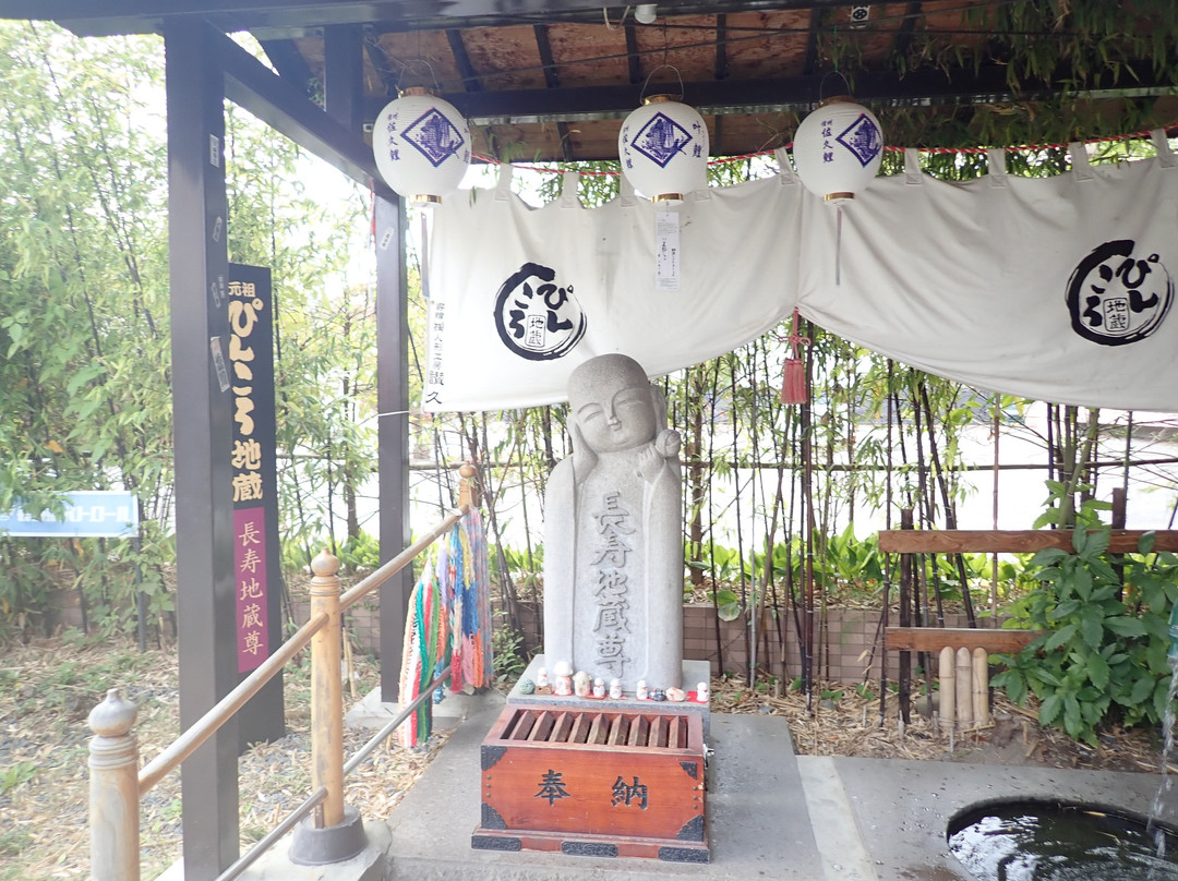 Nozawa Narita-san Yakushiji Temple-佐久市必去景点