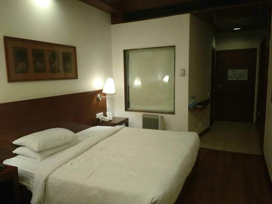 Elevate By Treehosue主图