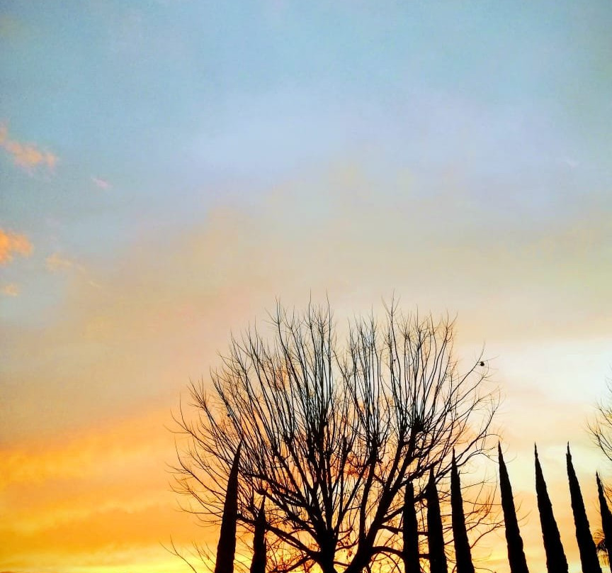 Hotel La Estancia Temazcal主图