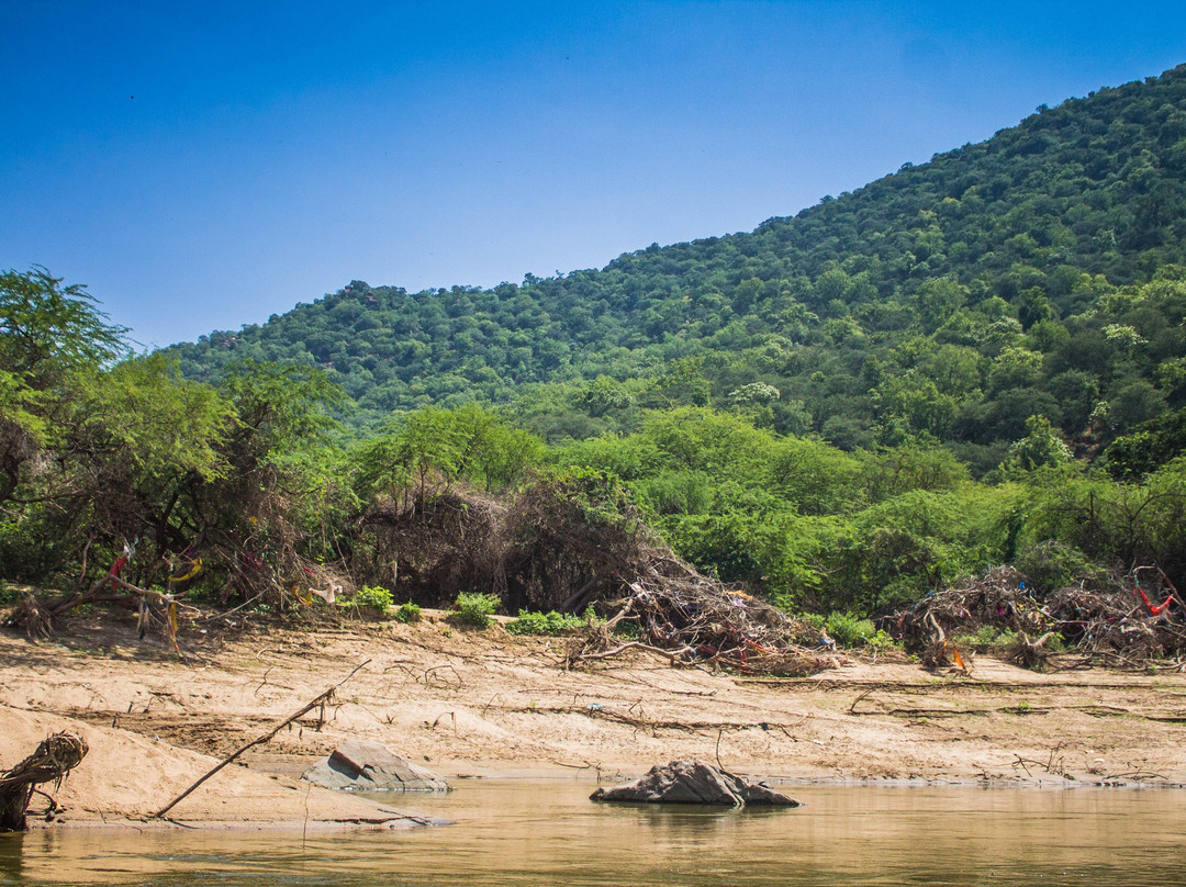 Hogenakkal Falls景点图片