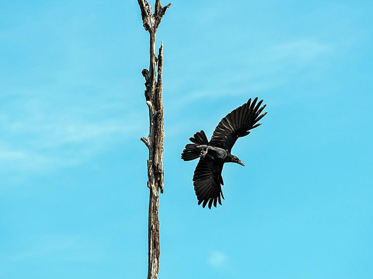 500Rai Resorts & Tours-拉克山必去景点