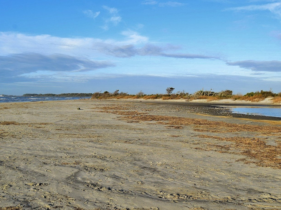 Folly Beach County Park景点图片
