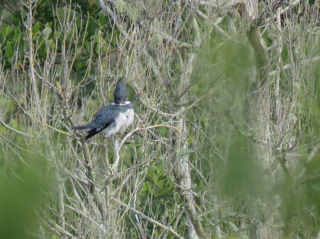 Betty Steflik Memorial Preserve-Flagler Beach必去景点