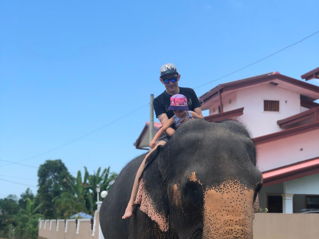 Palace Seaside-Waskaduwa必去景点