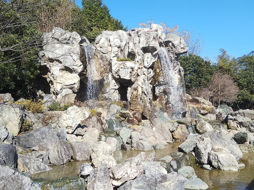 Wanpaku Kochi-高知市必去景点