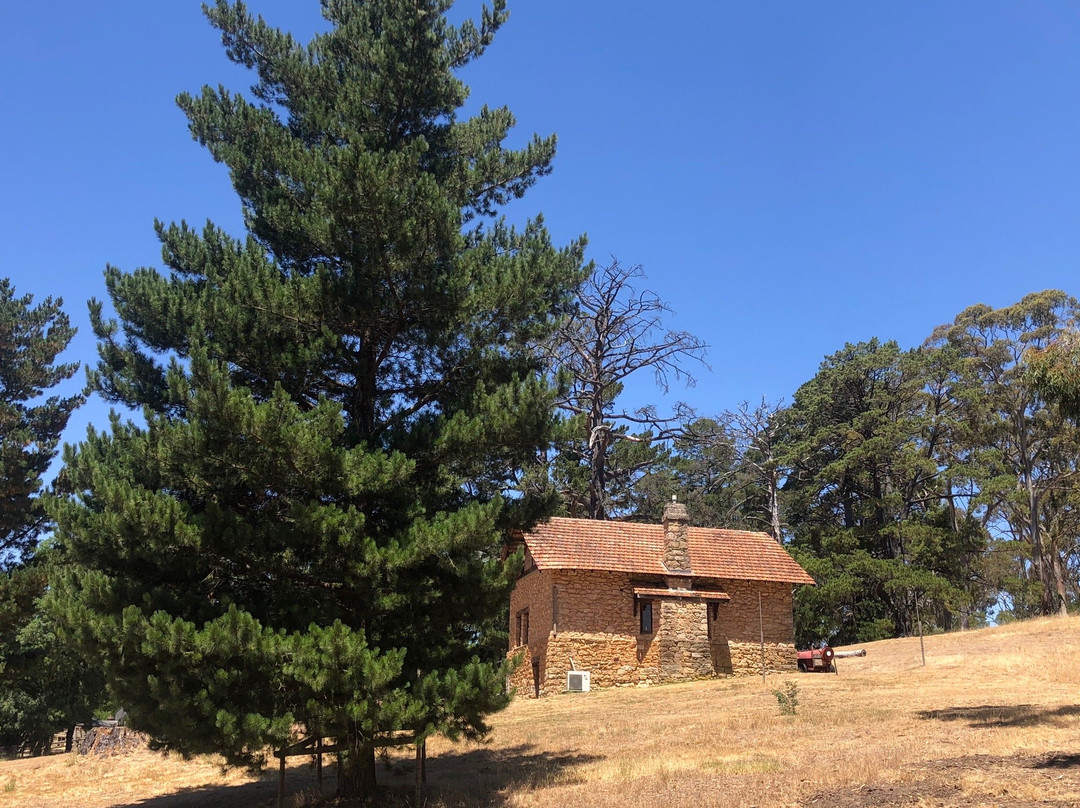 Heysen The Cedars景点图片