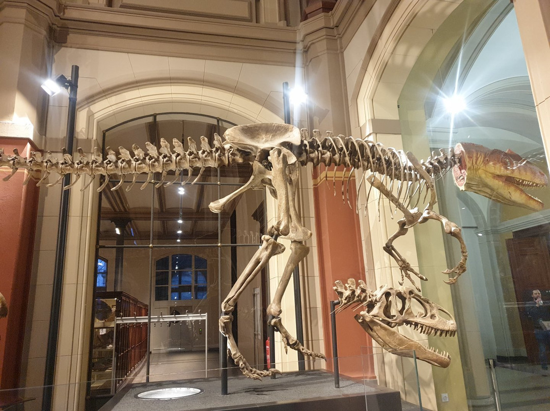 Naturkundemuseum Potsdam-波茨坦必去景点