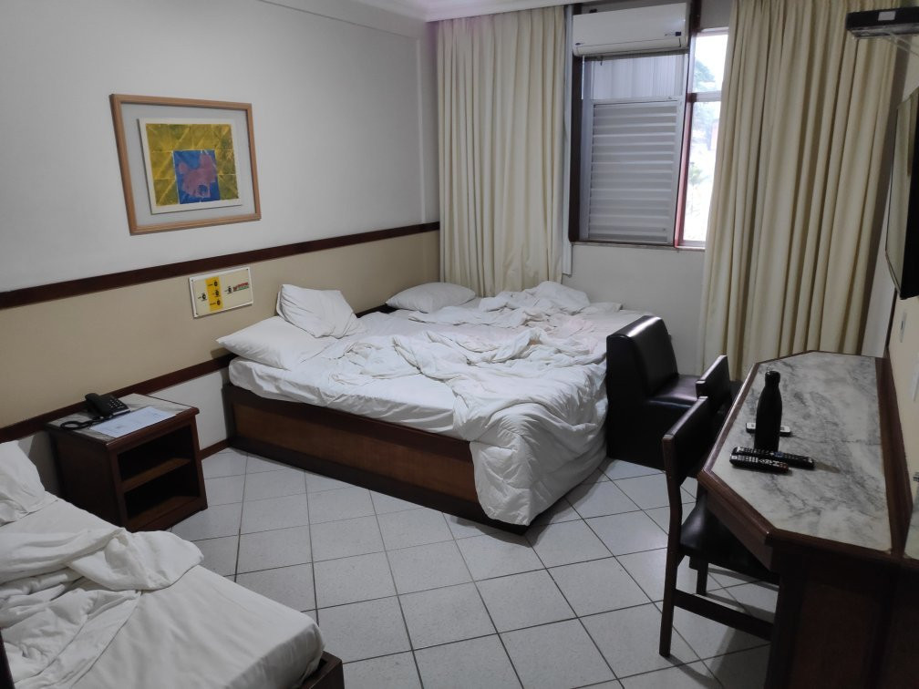 Hotel Das Palmeiras主图