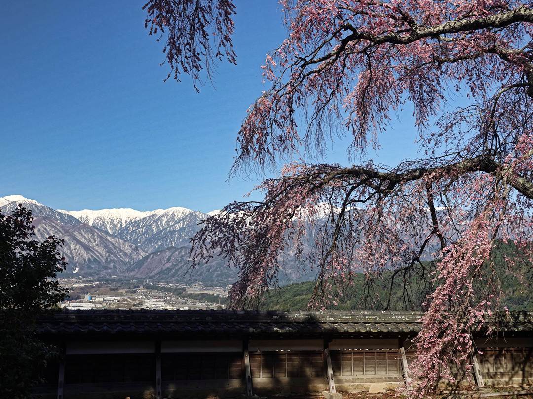 Seirin-ji Temple景点图片