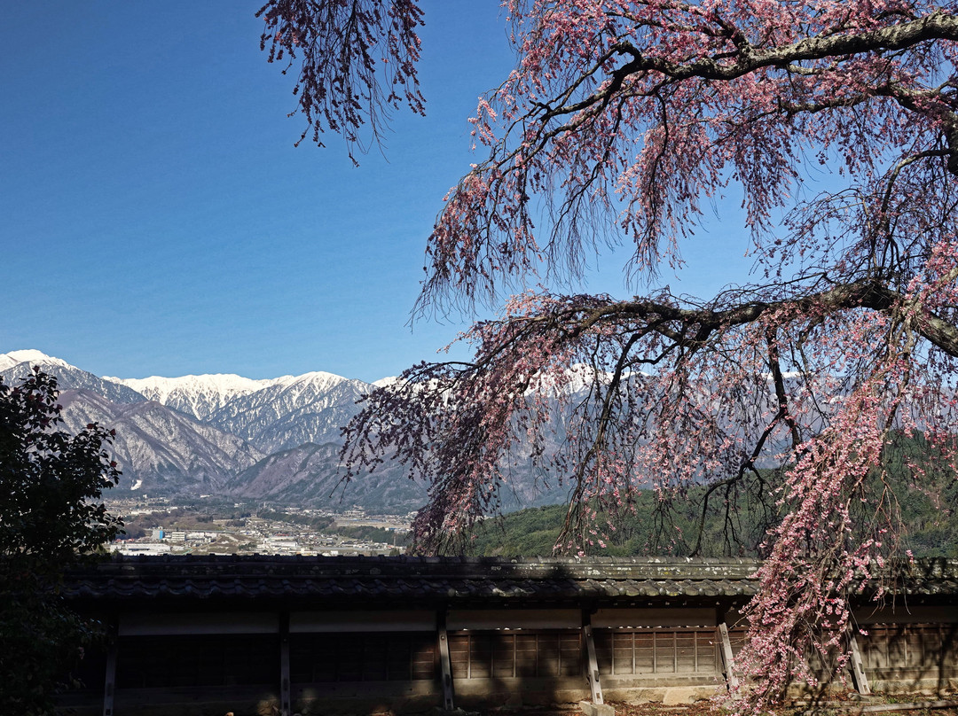 Seirin-ji Temple景点图片