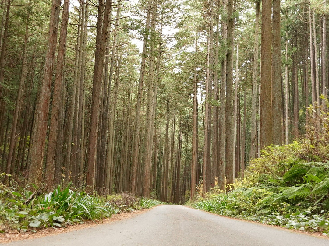 Mt. Hiwada-日高市必去景点