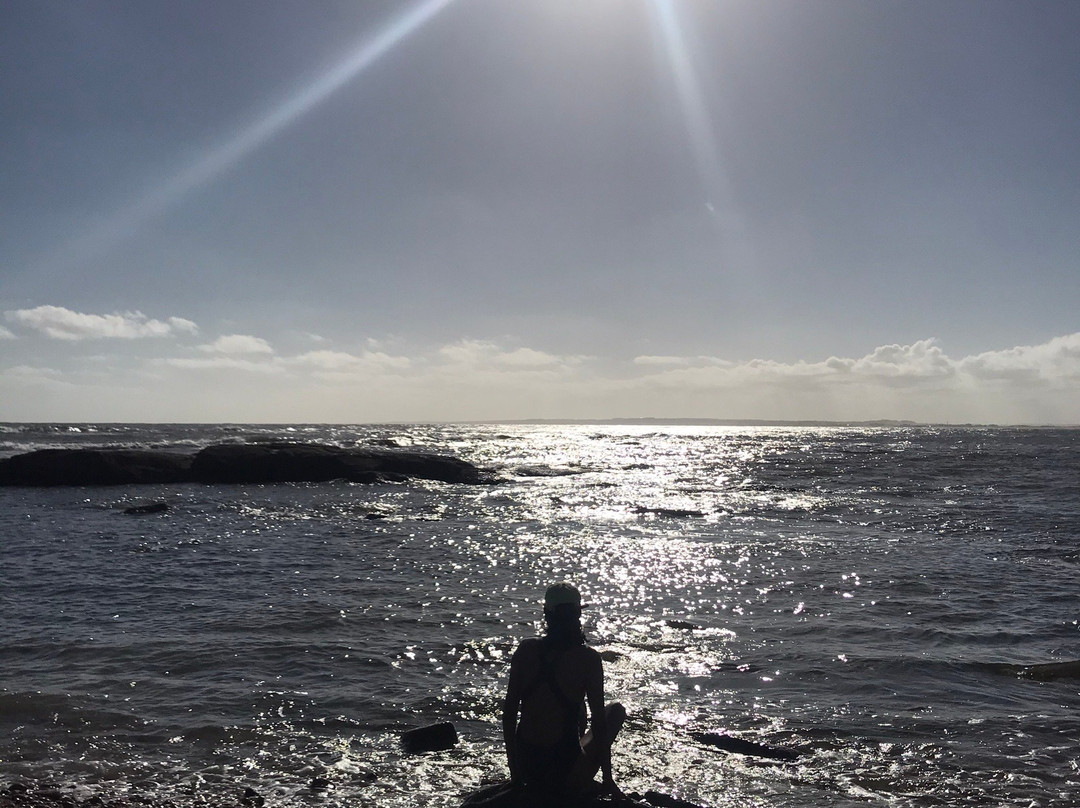 Playa Mansa-Jose Ignacio必去景点