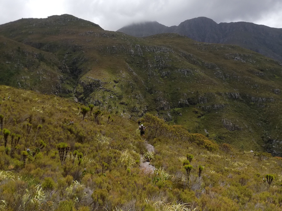 Cape Canopy Tour-Elgin必去景点