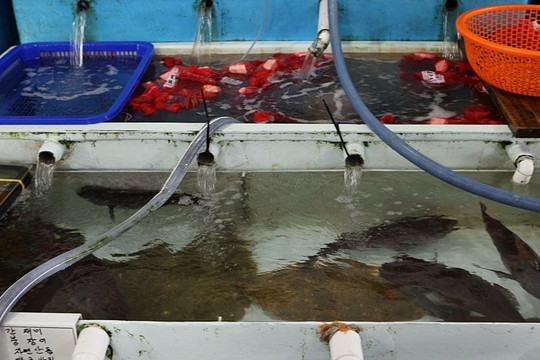 Suhyup Susanmul Center