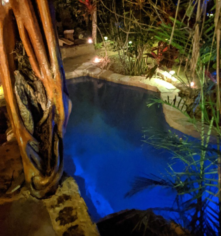 La Selva Mariposa主图