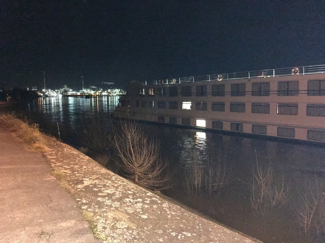 Krefeld-Uerdinger Brücke景点图片