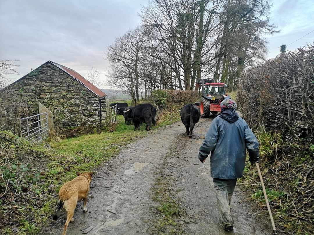 Cwmiar Farm Holiday Cottages