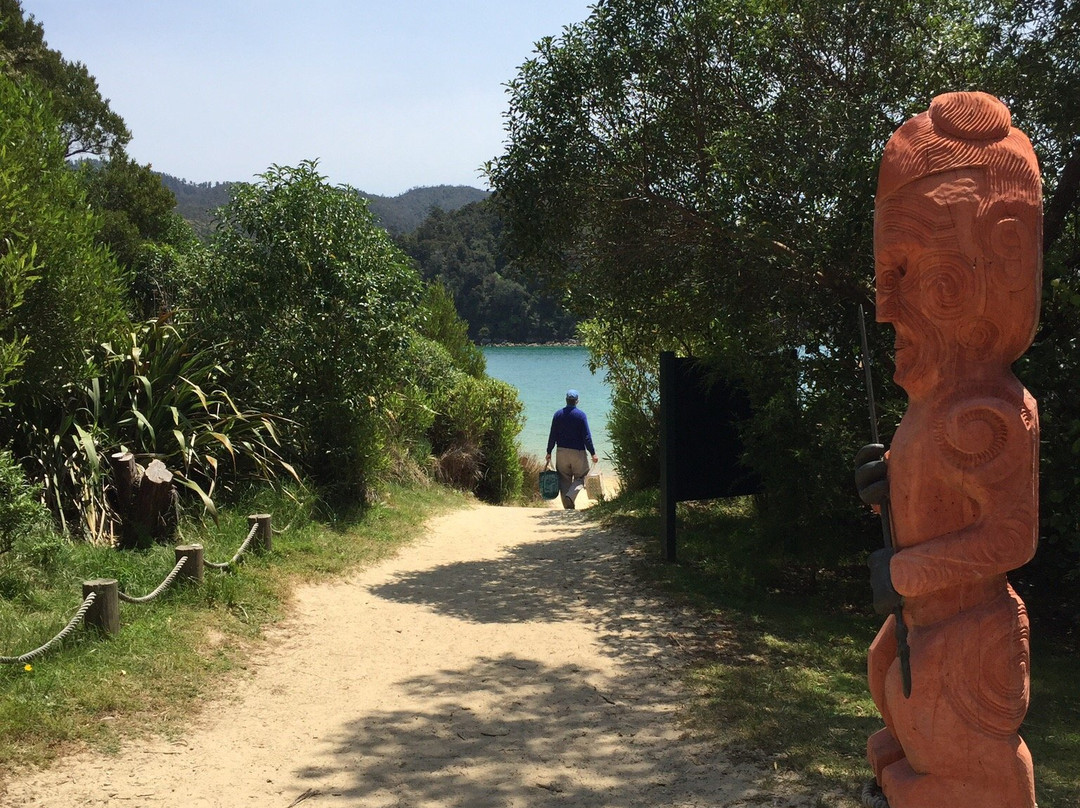 Abel Tasman Sailing Adventures-凯特里特里必去景点