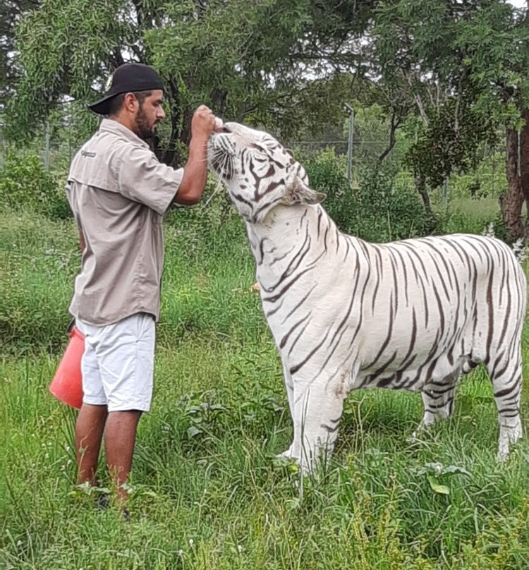 Jugomaro Predator Park 2.0-瓦尔沃特必去景点