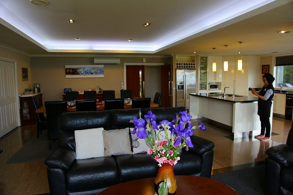 蒂卡波高地主图