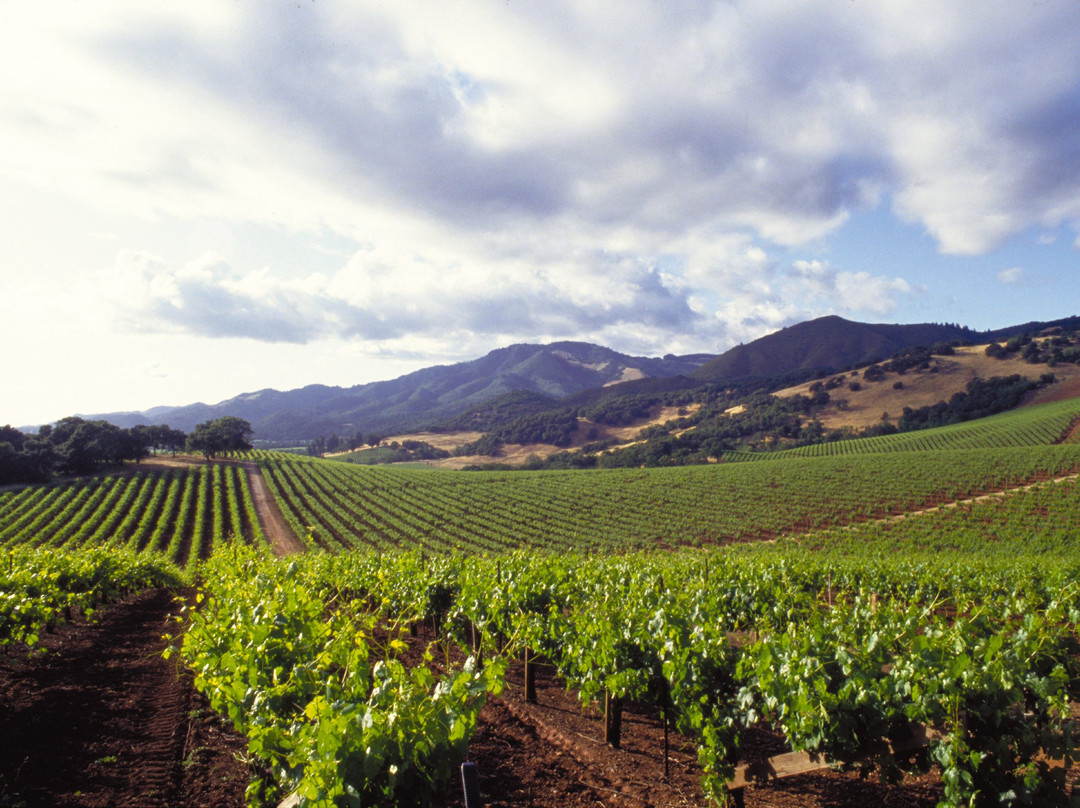 Harmon Guest House主图