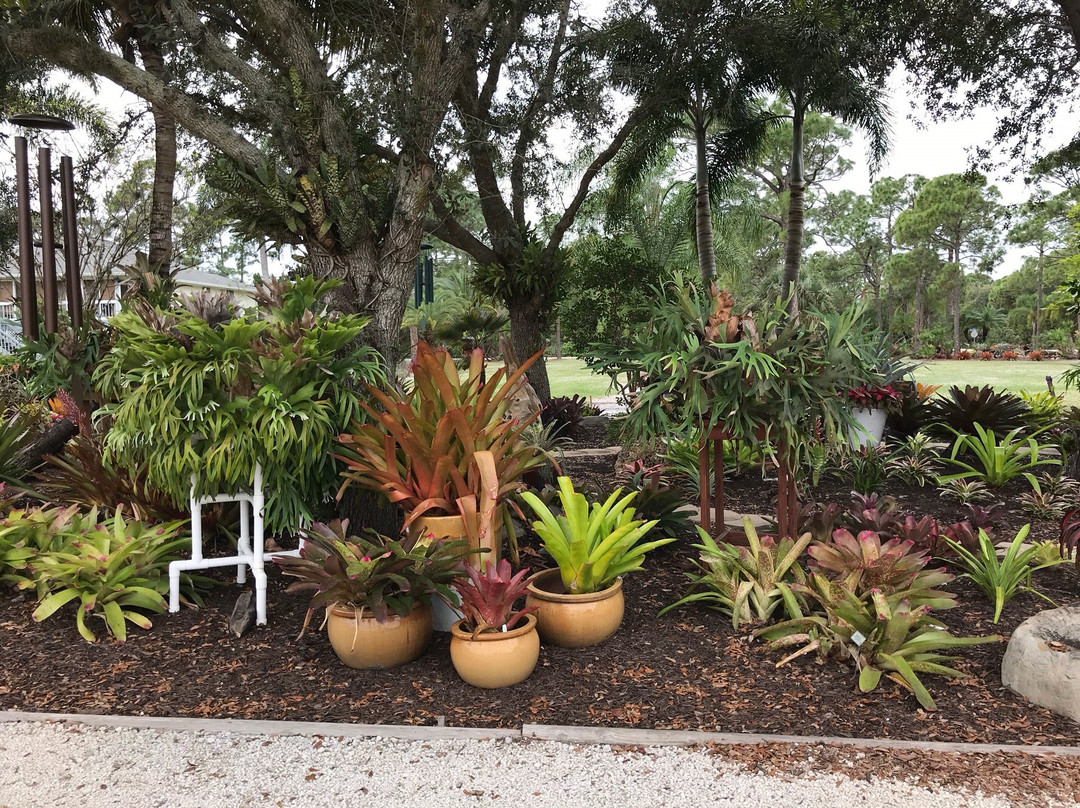 Wigert's Bonsai-North Fort Myers必去景点