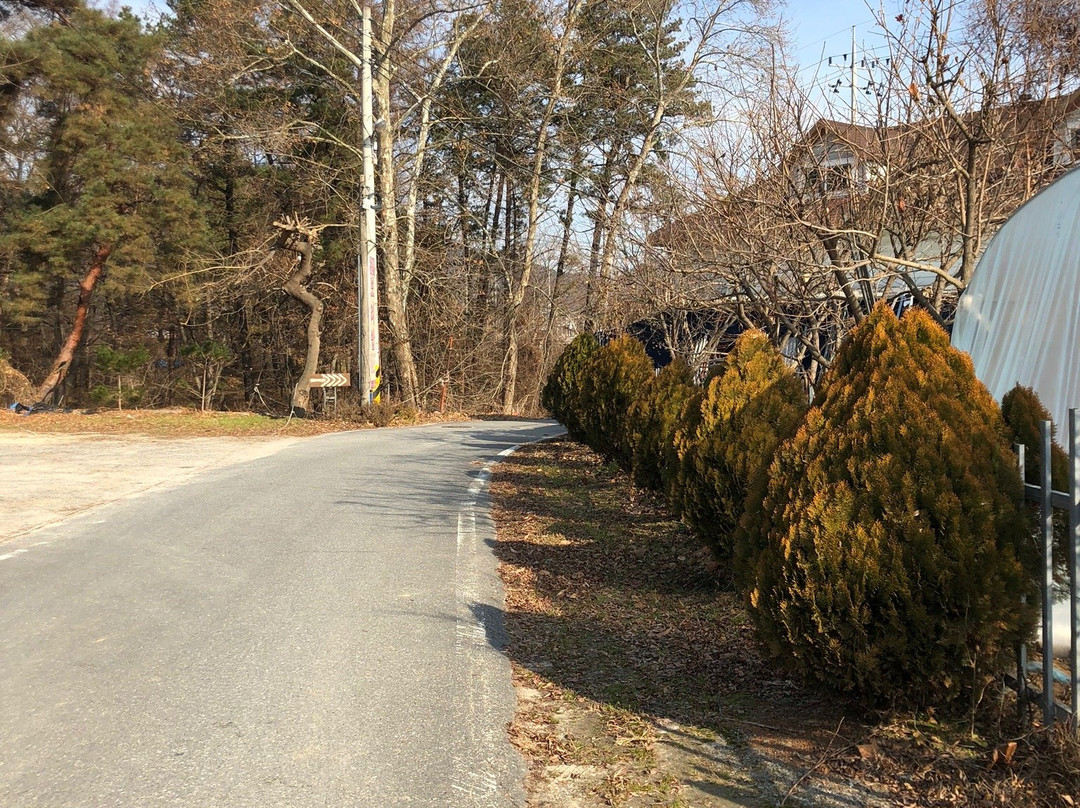 Sanmagi Yetgil-槐山郡必去景点