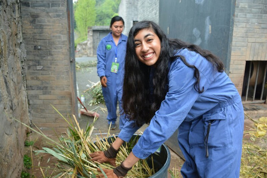 panda volunteering  and photo taking-都江堰市必去景点
