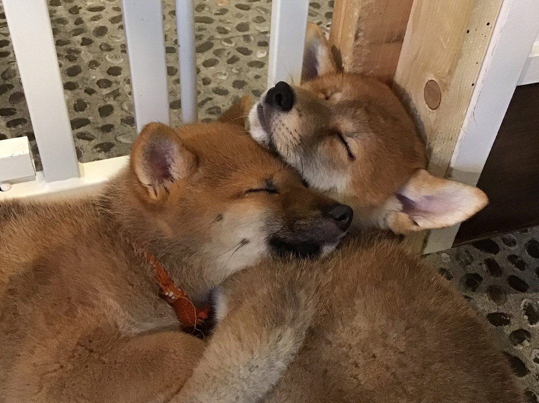 Cafe Ryoma-京都市必去景点