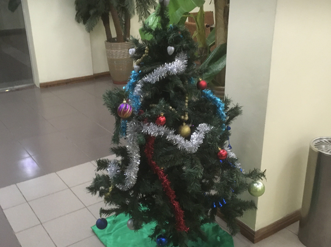 Hotel Marjorie 'Y'主图