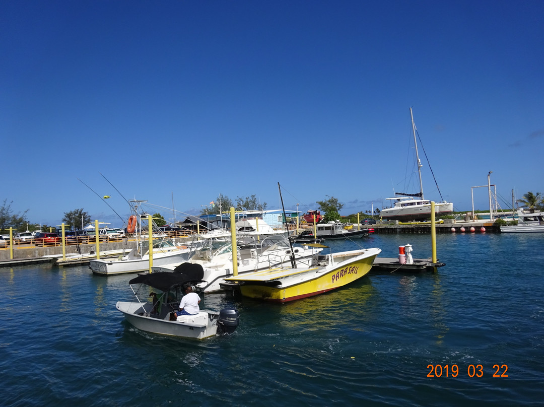 Paseo de Susan Park-阿加尼亚必去景点